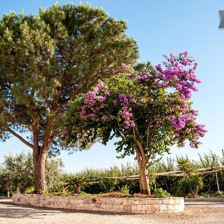 Agriturismo Biologico Sant'Andrea Castellaneta Marina Exterior photo