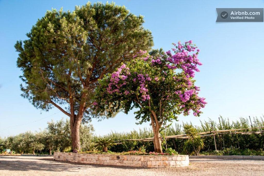 Agriturismo Biologico Sant'Andrea Castellaneta Marina Exterior photo